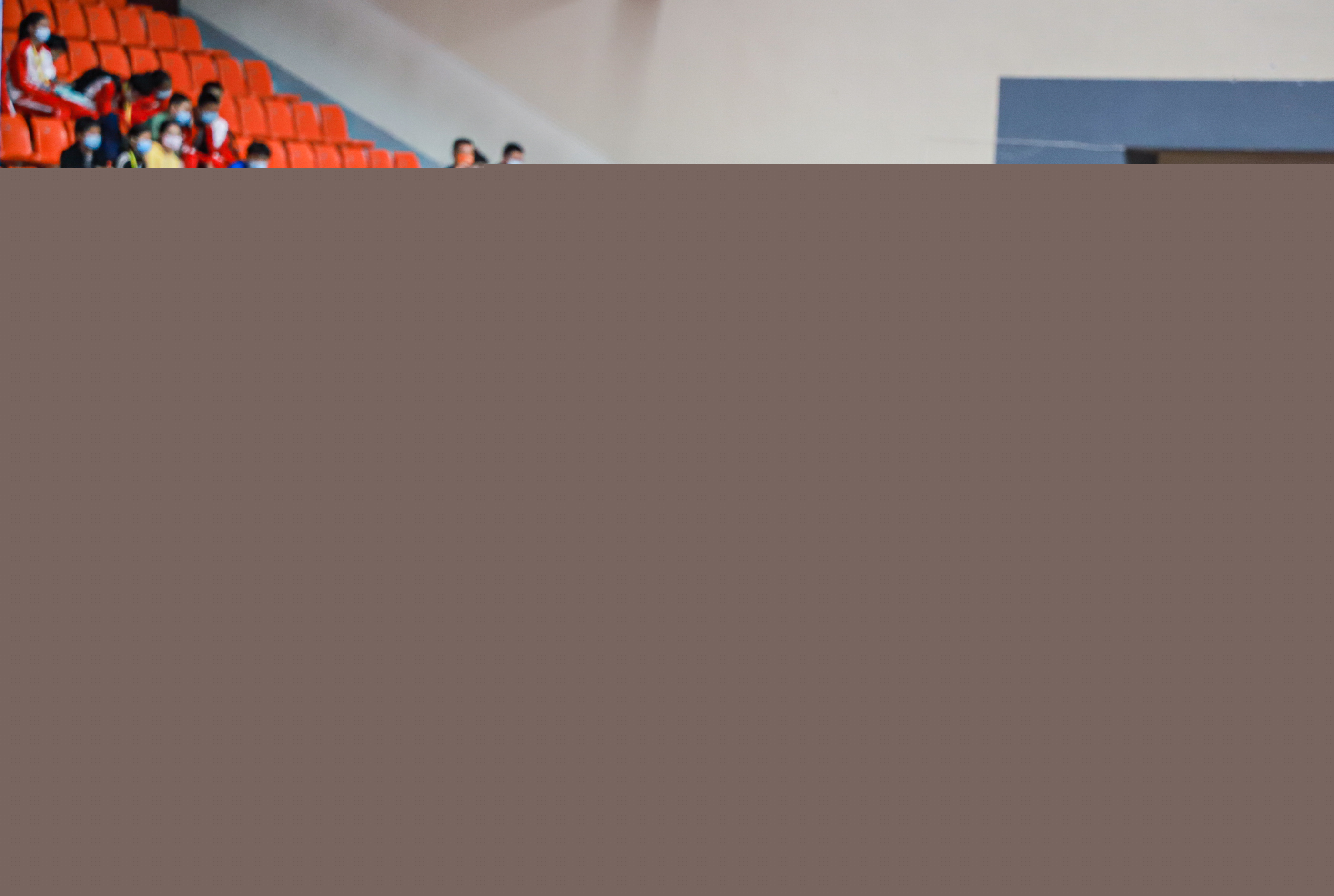 通过专业的 通过专业的