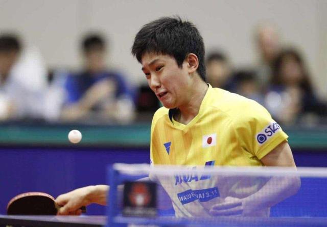 双城模式 双城模式